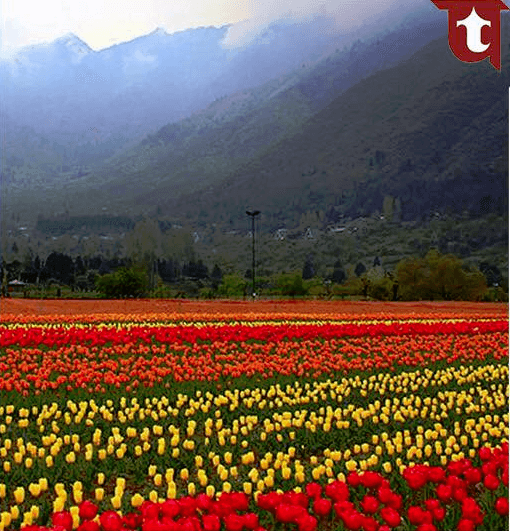 Reasons That Make Kashmir Heaven on Earth